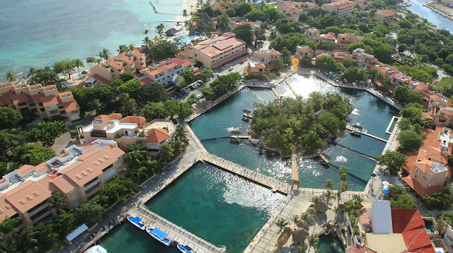 Dolphin Discovery Riviera Maya